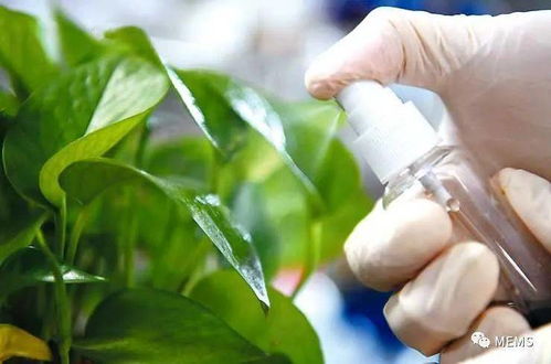 紅外光控釋農藥研發取得重要進展，生物農藥技術迎來新突破