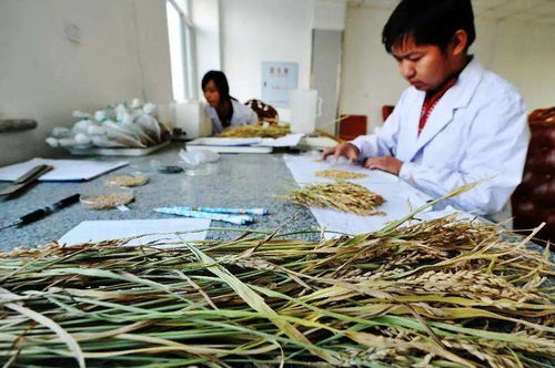 人人可參與，最高獎金12萬元 生物農藥技術研發新機遇