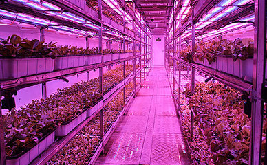 生態(tài)+智慧 園區(qū)現(xiàn)代農(nóng)業(yè)“創(chuàng)”出一片天——生物農(nóng)藥技術(shù)研發(fā)